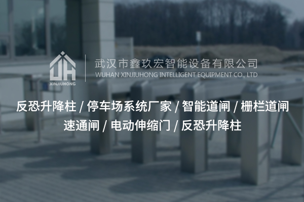 遂寧擺閘技術(shù)，提升出入口管理效率？